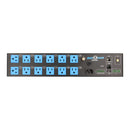 BIG DOG 13-OUTLET SMART POWER DISTRIBUTION UNIT WITH SELF-HEALING