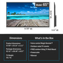 Neptune Full Sun Outdoor Smart TV's