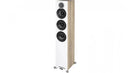 Debut Reference Floorstand (Each)