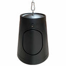TDG Audio Outdoor Satellite / Pendant speaker