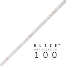 DI-24v-BLBSC1-27-W100
